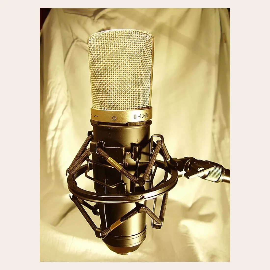 Large-Diaphragm Condenser Microphone with Shock Mount